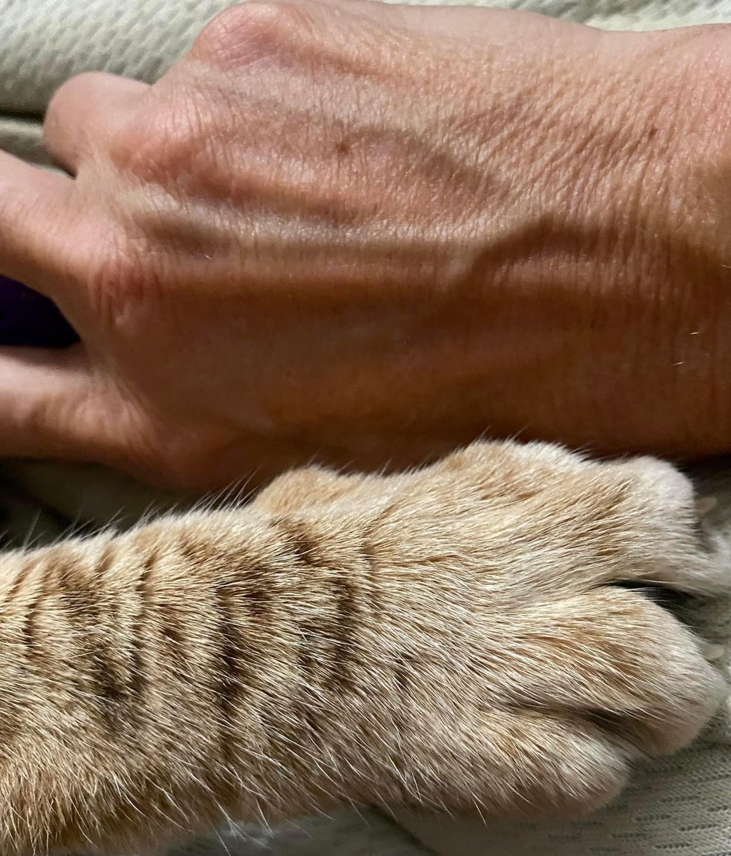 Jenn The Producer tweet media