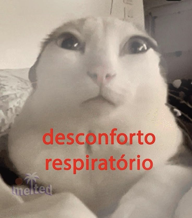 beca 𐙚 tweet media