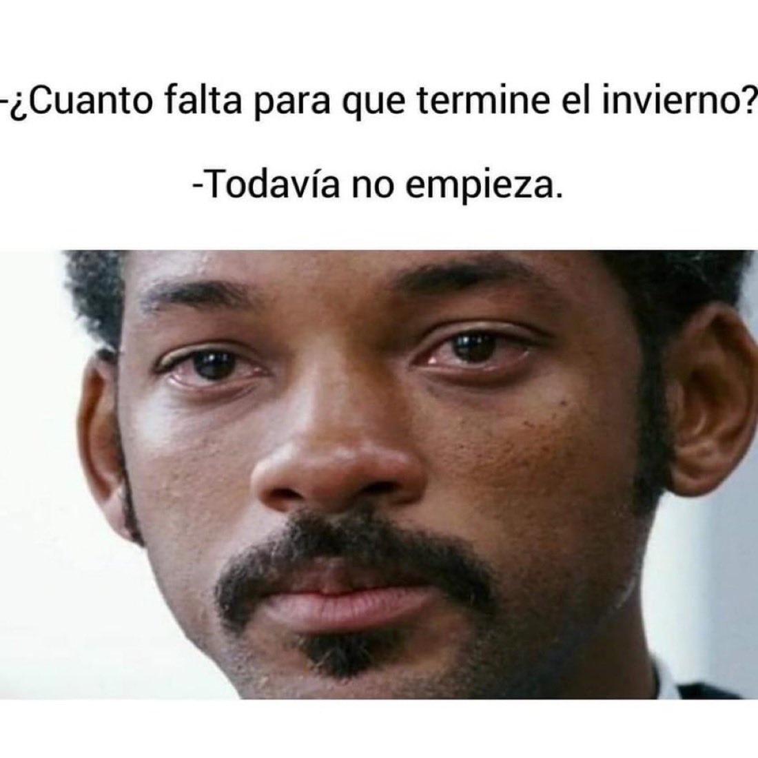 Cuquita (@cuquitadecuca) on Twitter photo 
