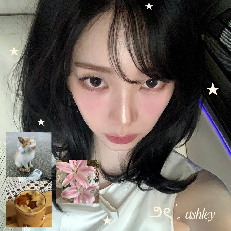 Woodsy Corner. tweet media