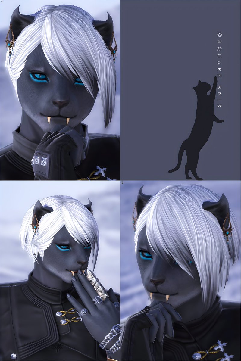 ちゃんぬ。❂Bahamut tweet media