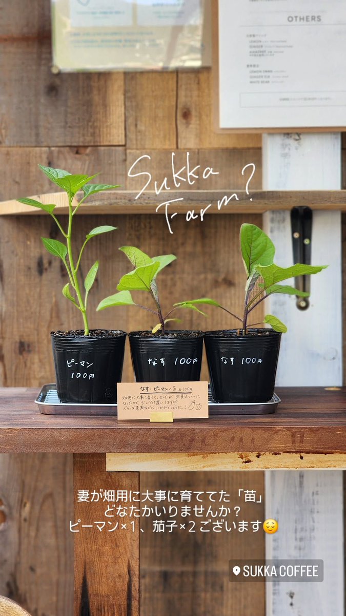 CoffeeSukka's tweet photo. こんにちは🧦
火曜日オープンしております。
１４時くらいになると思いますが
焼き立てのバターケーキ〈ノーマル〉を
お出ししますので、
よろしければお飲み物と一緒にどうぞ☺️
お待ちしております！

#sukkacoffee https://t.co/RSuw0hmn7t