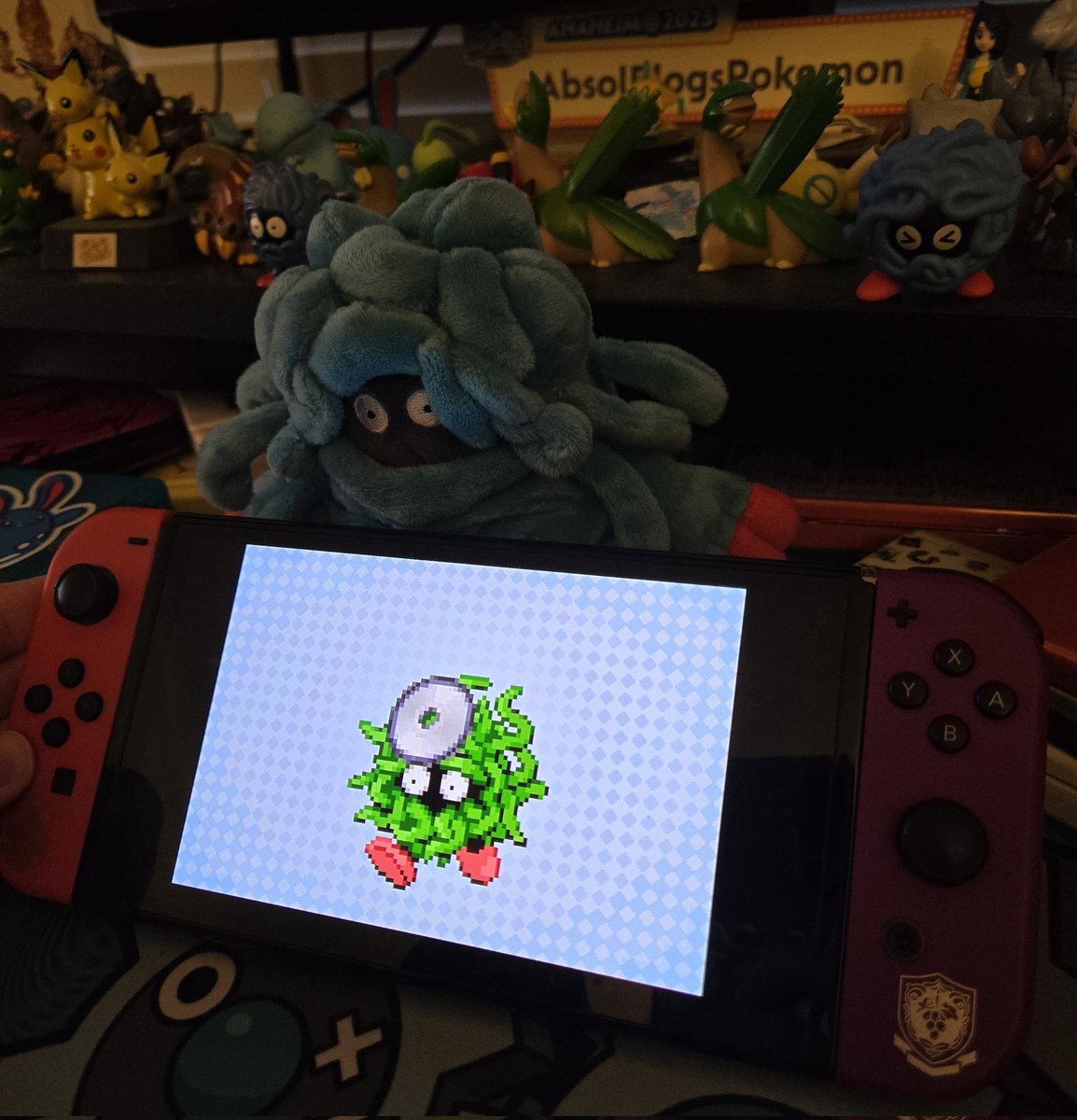 Matt (Absol) tweet media