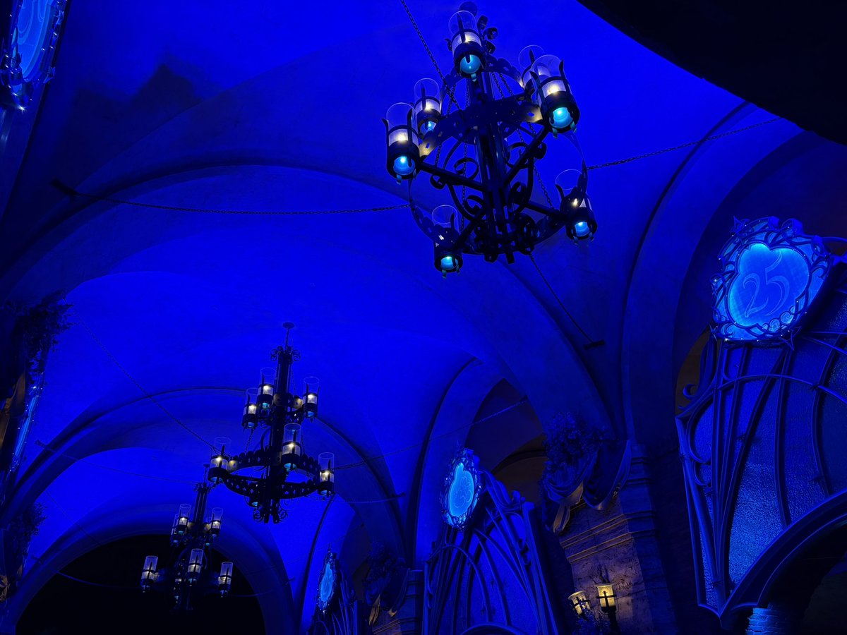 るむねこ🐾 tweet media