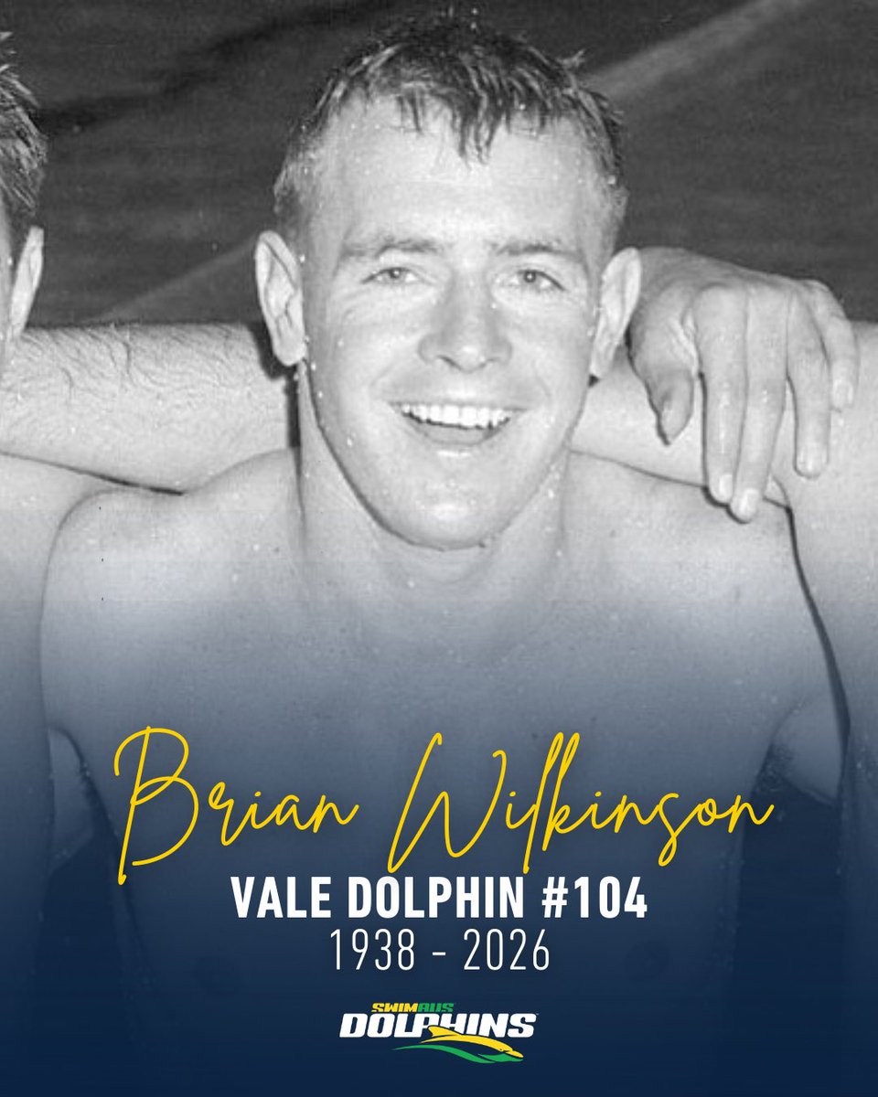 Australian Dolphins Swim Team tweet media