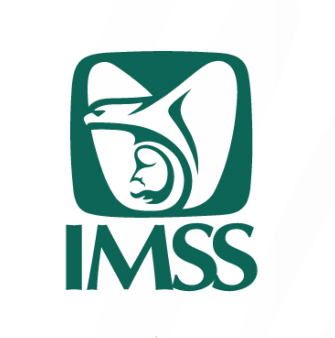 Cynthia Híjar 🇵🇸🇲🇽🌹 tweet media