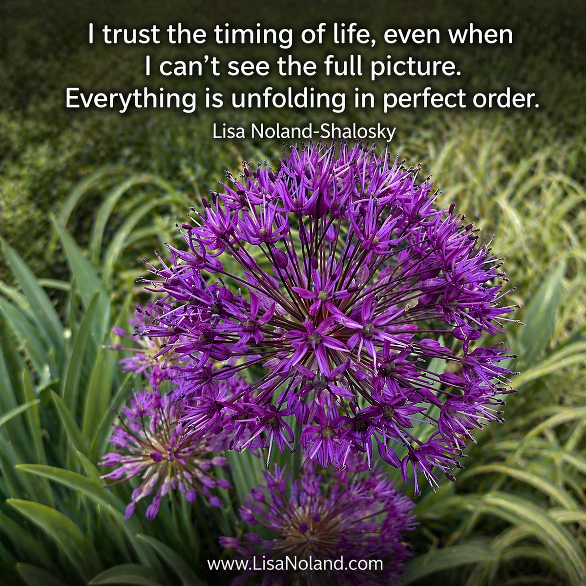 EarthAngel913's tweet image. "I trust the timing of life, even when I can’t see the full picture. Everything is unfolding in perfect order."— Lisa Noland-Shalosky

LisaNoland.com

#lisanolandshalosky #channeledwisdom #divinetiming #trusttheprocess #spiritualalignment