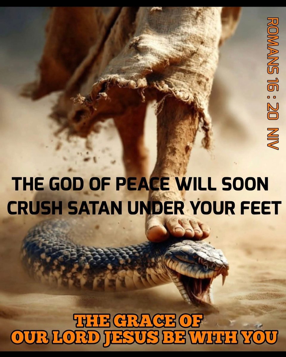 Spectrum tweet media