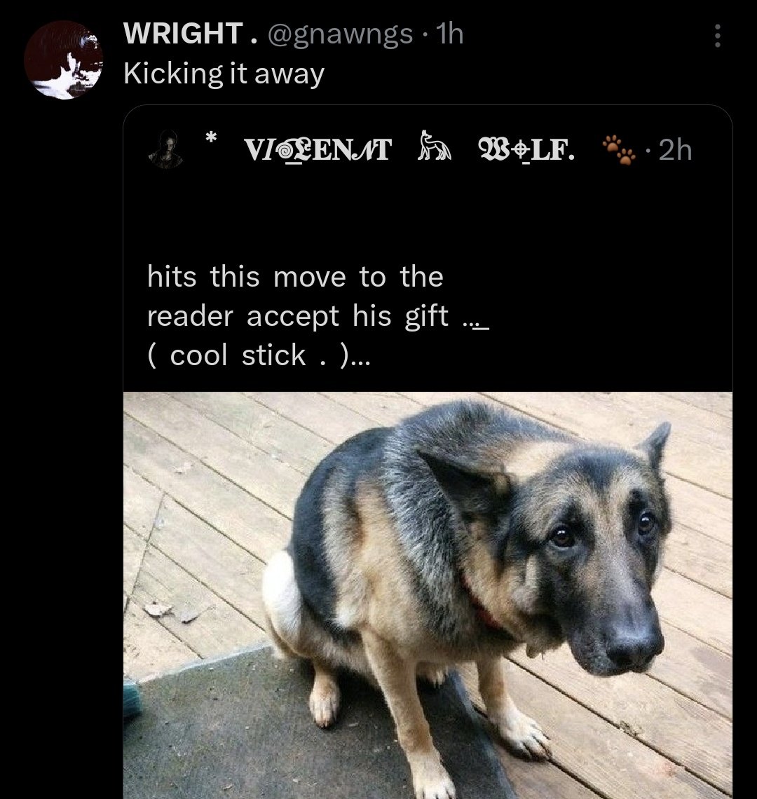 ᅠ⃰ᅠ𝐕 ͟͡—𝑖𖦹𝑙ₑⁿ͜𝑡ᅠ ݁ ͜𓃦̱ᅠ𝖂⌖̭͜ˡ𝖋.ᅠ⺌̲ tweet media