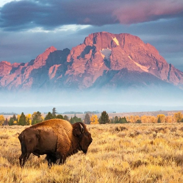 Michael F Ozaki MD tweet media