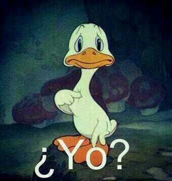 Dynocastard!!! 🦖🤯 tweet media