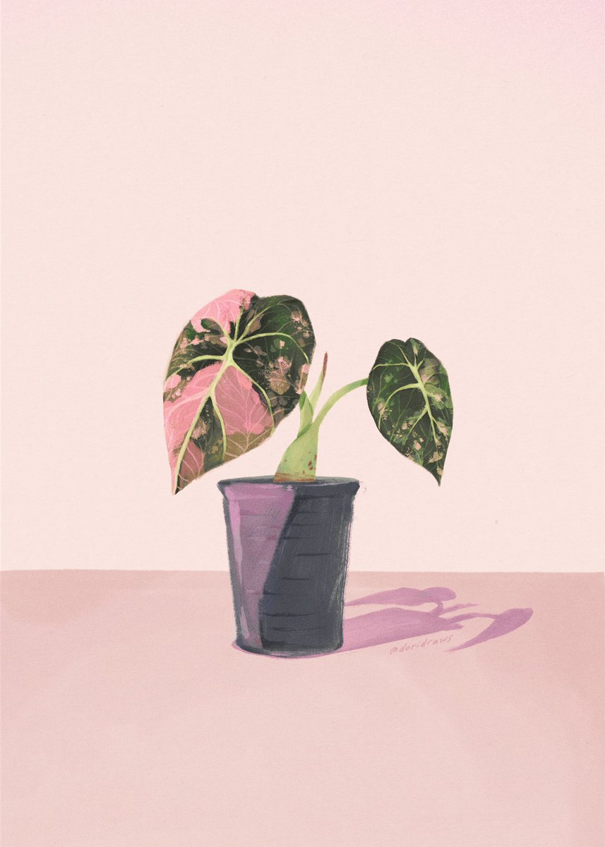 doridraws's tweet photo. i love collecting pink plants 🌱 https://t.co/MwsphX8tjX
