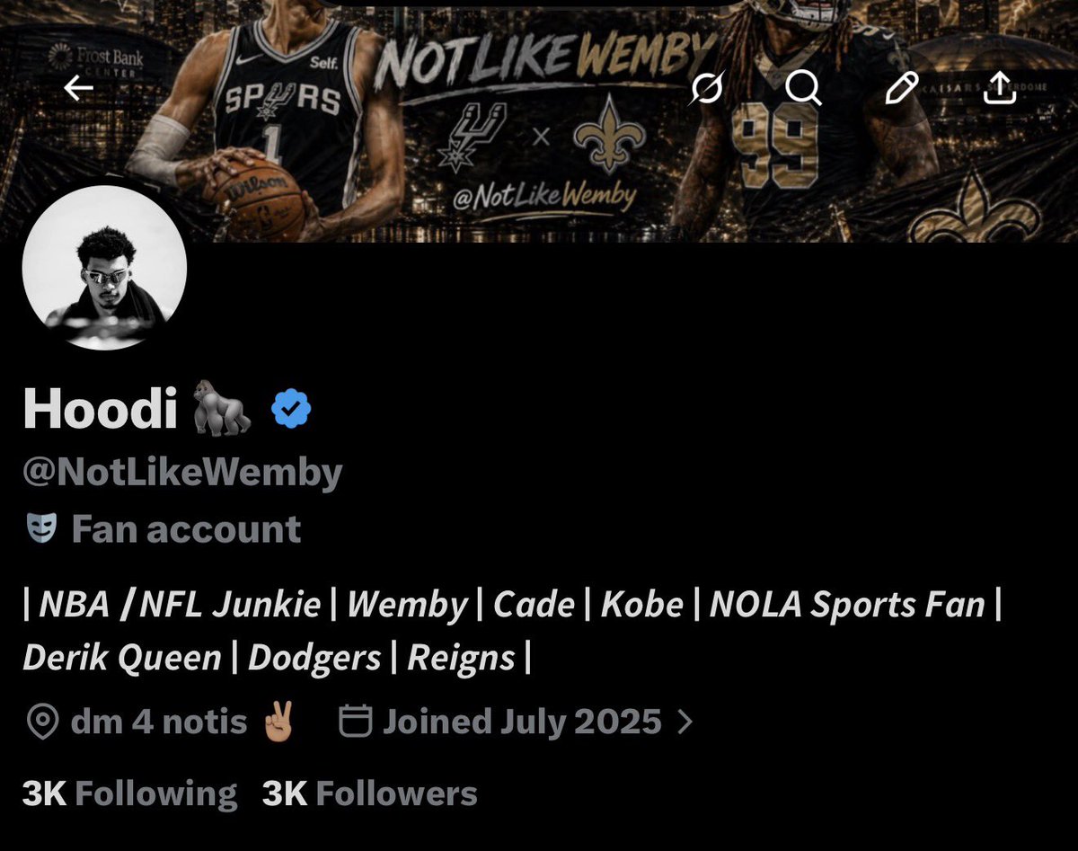 Hoodi 🦍 (Limited) tweet media