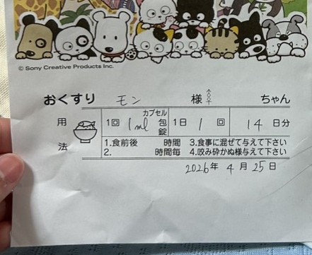 おばちゃん歩 tweet media