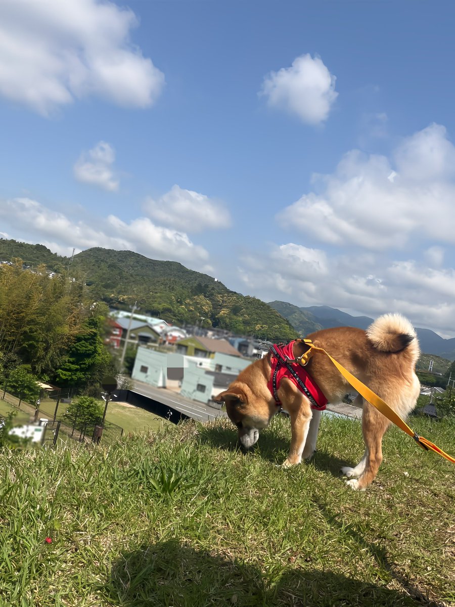 ワープシティ🌏 tweet media