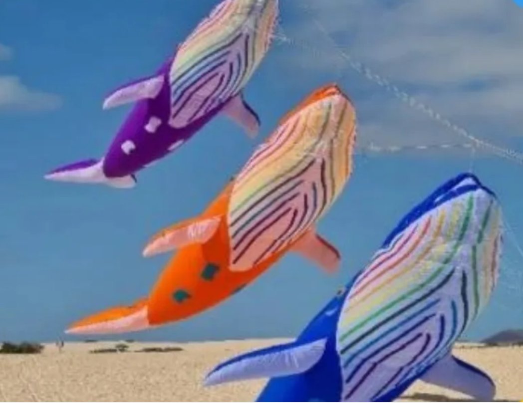 Weifang Moments tweet media