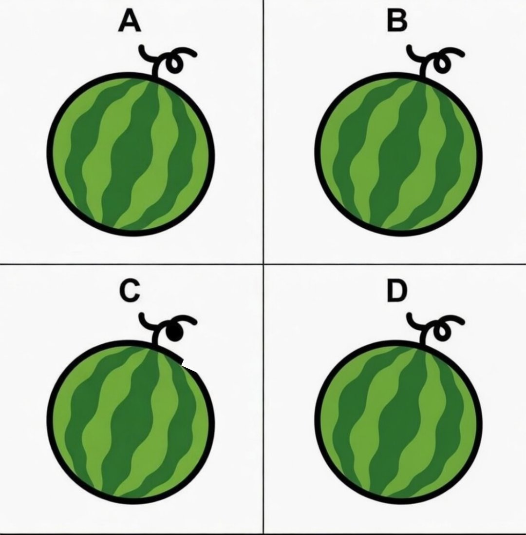 Jewel 🌗 tweet media