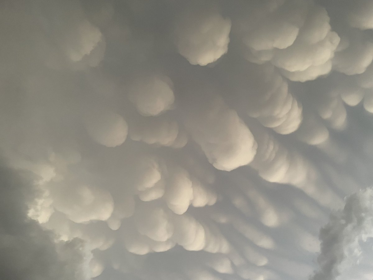 ro 🌪️ tweet media