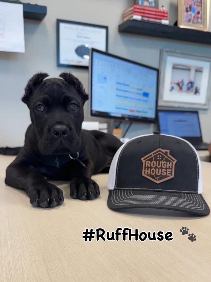 RoughHouseMO's tweet image. ONE today 🎉🐶

From #RuffHouse puppy to full-time job site supervisor 💪

Security ✔️
Snacks ✔️
Attitude… questionable about the hat 😂

Swipe to see where it started 👇

#RoughHouse #BirthdayBoy #CaneCorso #ShopDog