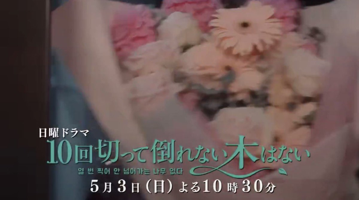 京子 tweet media