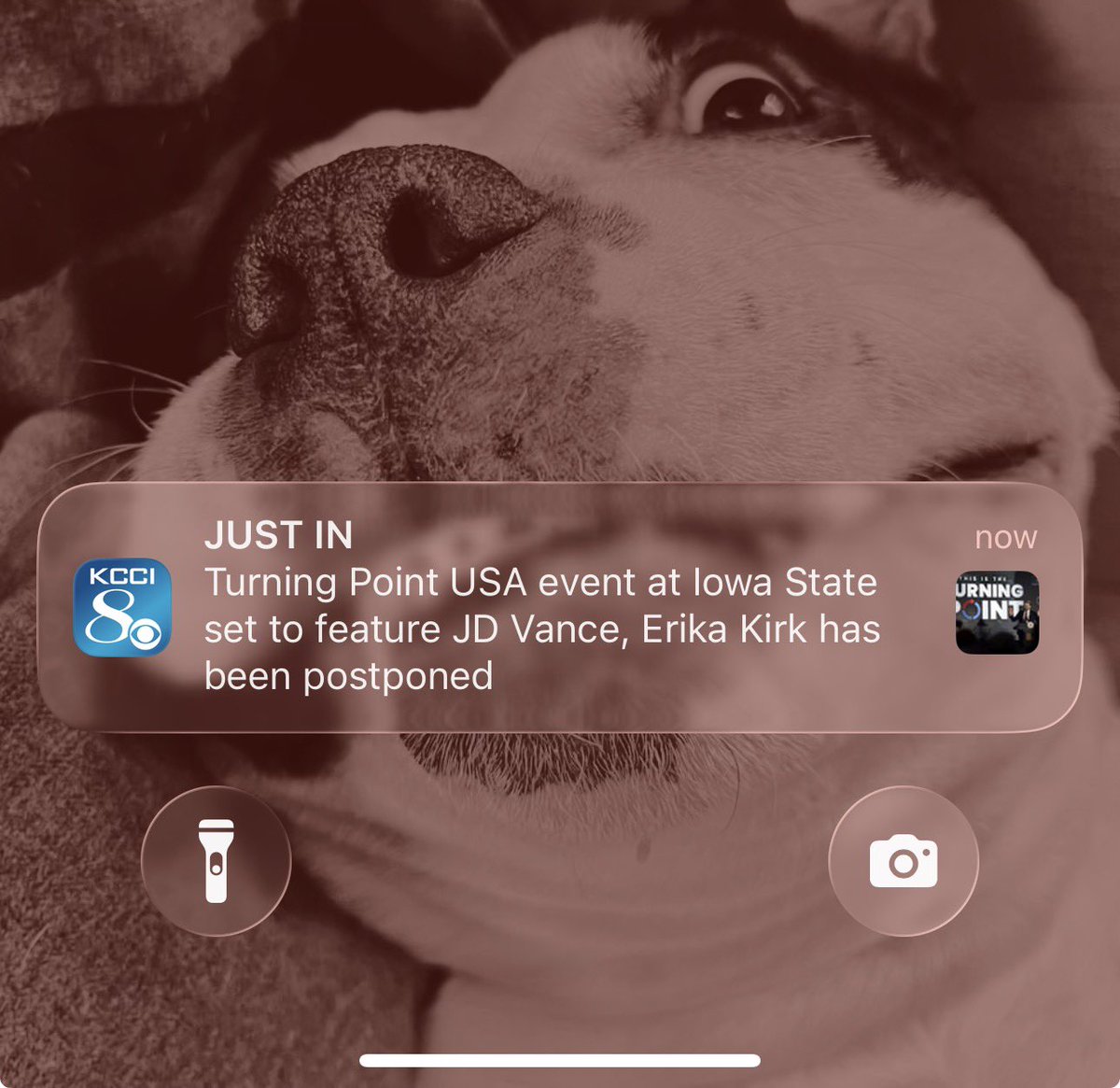 Recovering Cyclone Fan tweet media