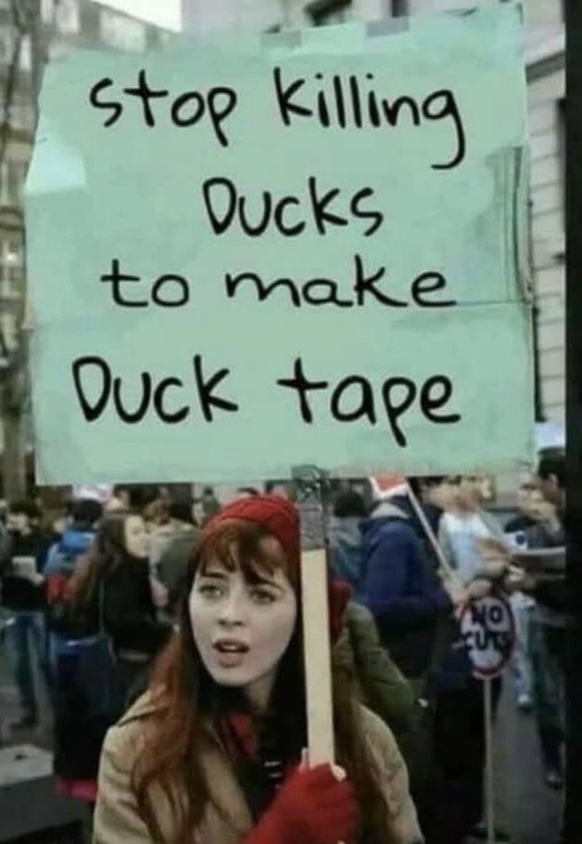 Respectful Memes tweet media
