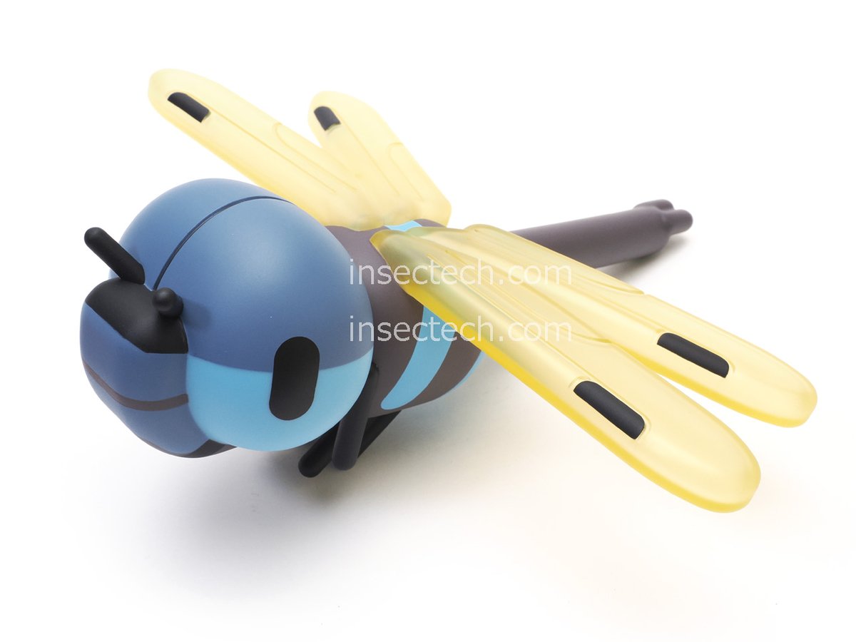 insectech 昆虫採集と標本用品の専門店 よねざわ昆虫館 虫フェスⅥ 7/5（日） tweet media