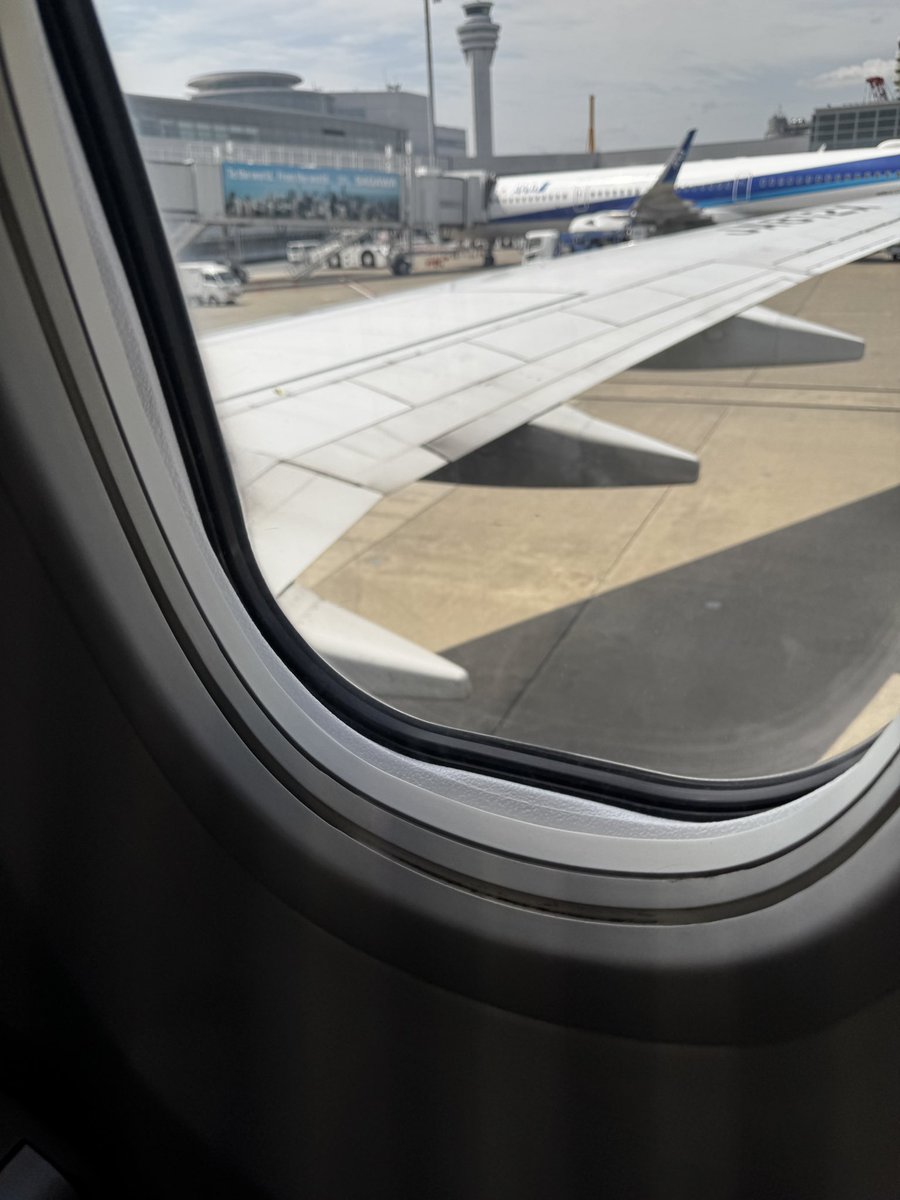 はまち🐟 tweet media