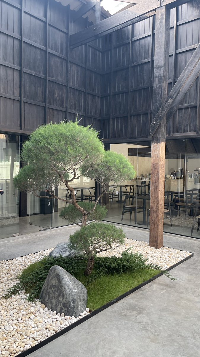 JAY.TrendSeeker tweet media