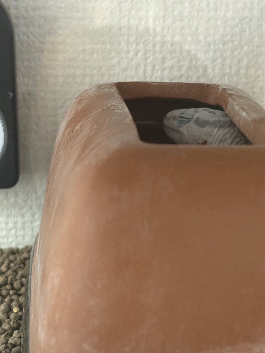 (元)院長 tweet media