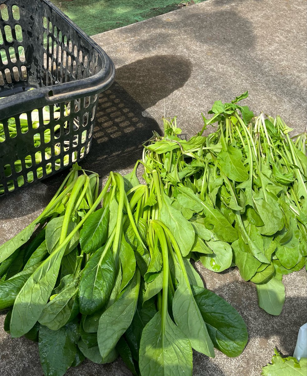 ごまさん🧘‍♀️🦭 tweet media