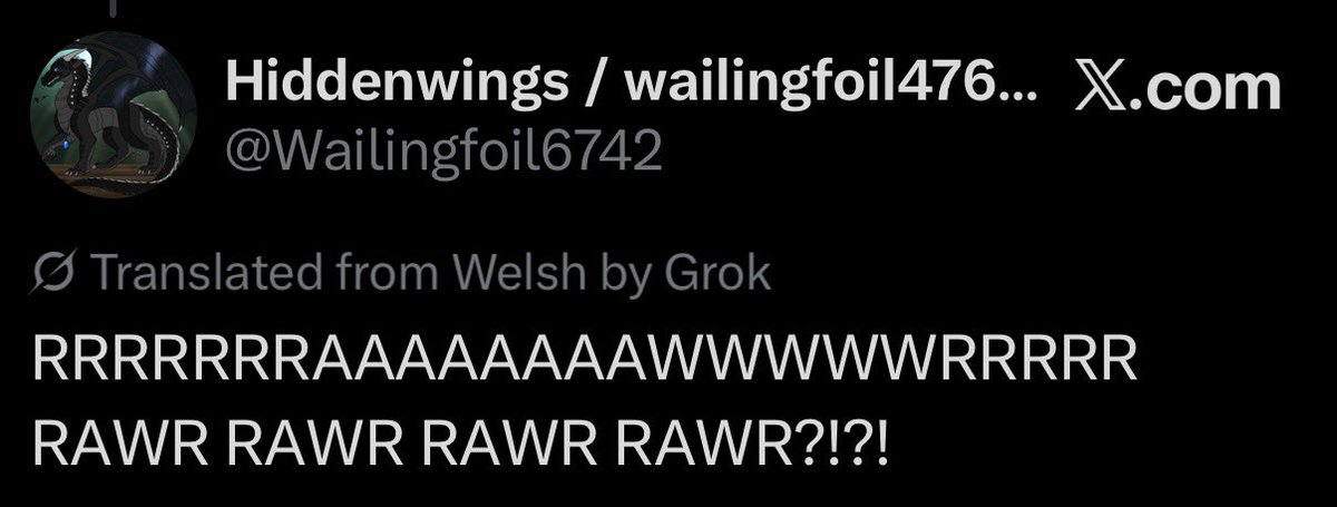 Hiddenwings / wailingfoil476🇺🇸🇻🇦 tweet media