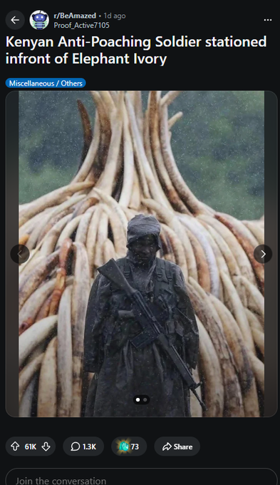 Th3Zynrix tweet media