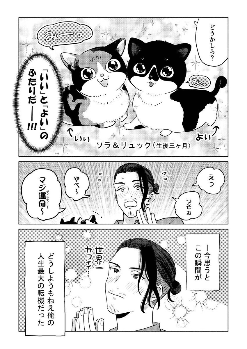響介 tweet media