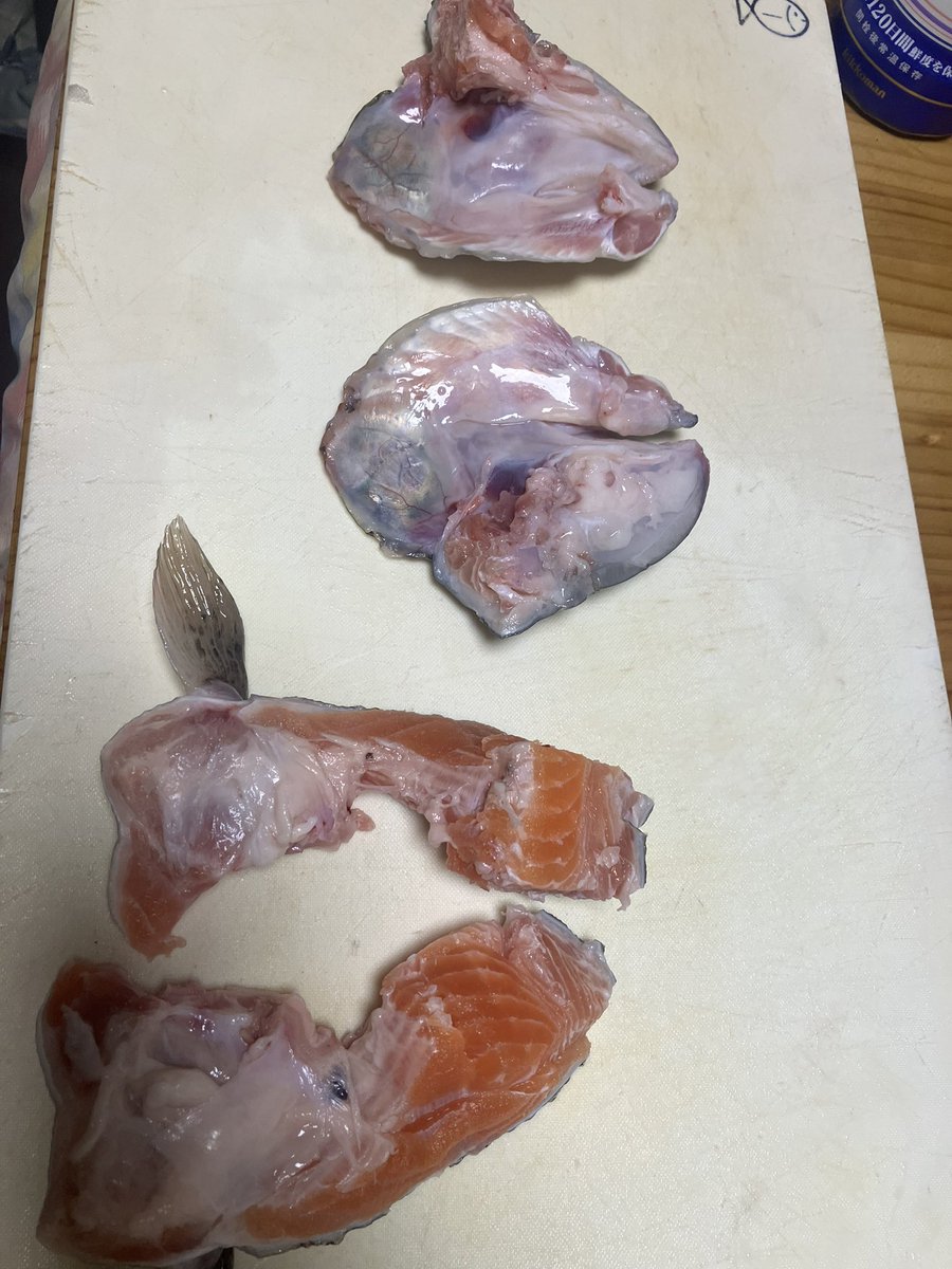 良い赤身　普段捨ててたカマや頭も身が入ってるから焼いたり

豆乳で煮てスープにするとかできそうだな😄