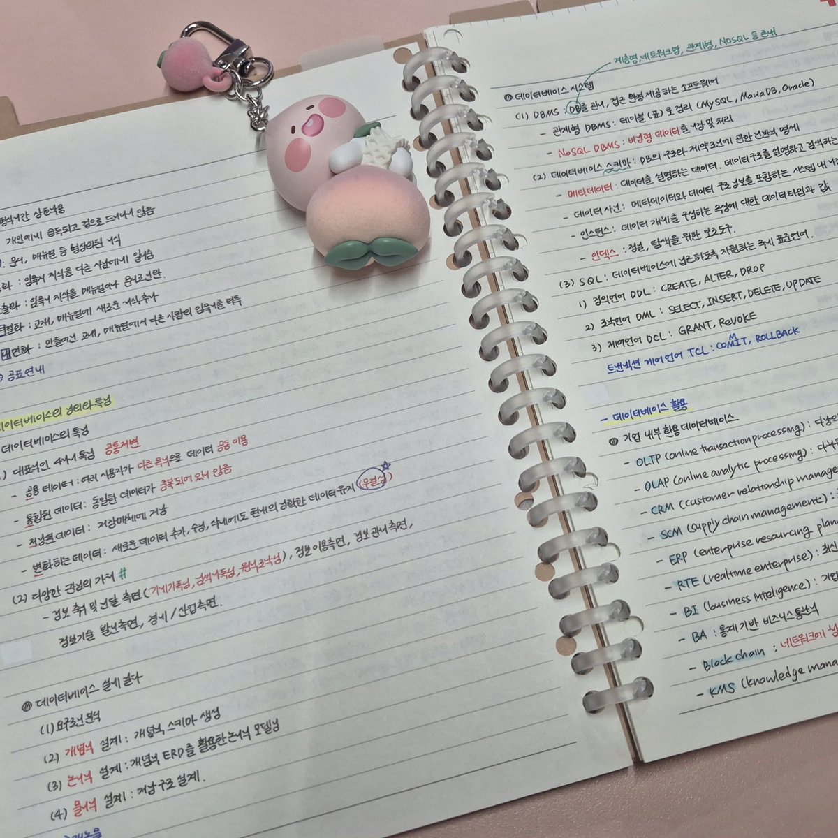 유다 tweet media