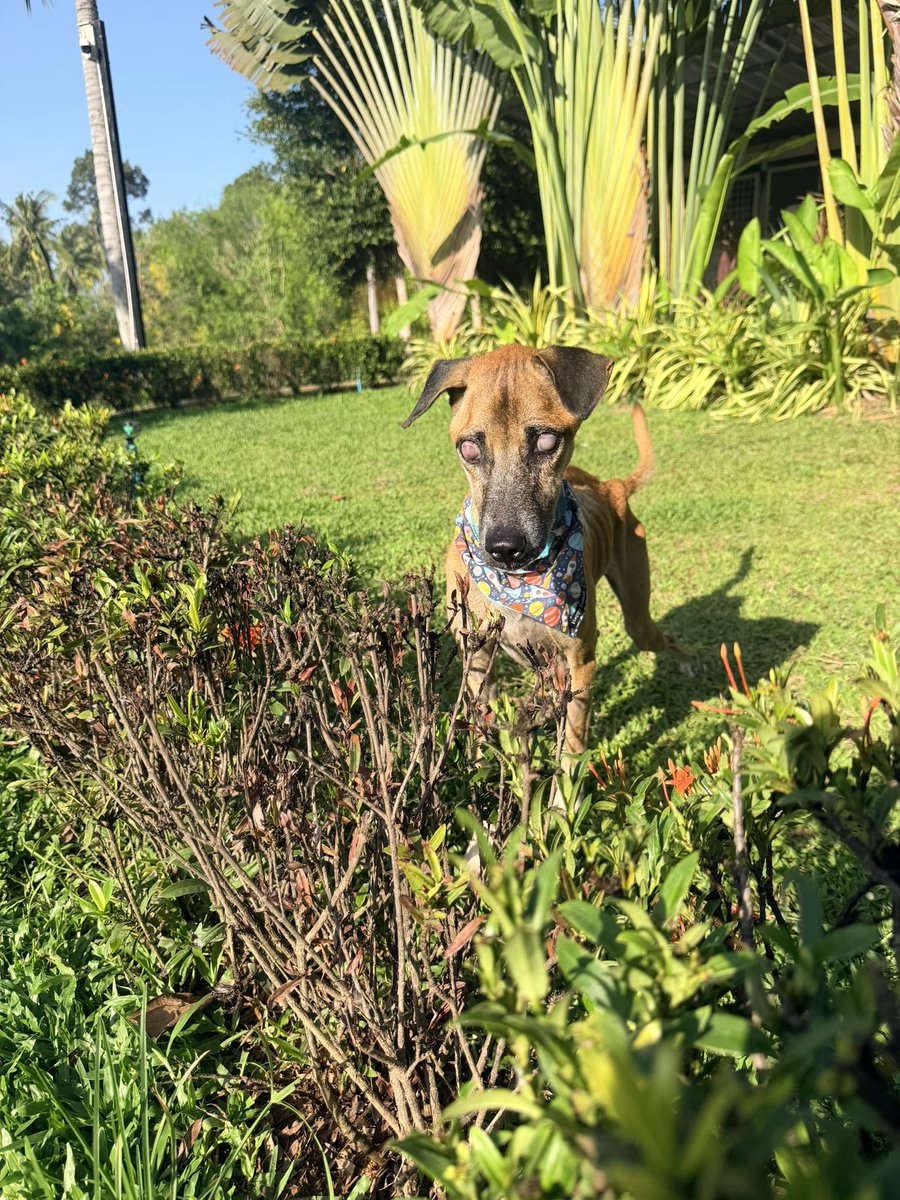 Niall Harbison tweet media