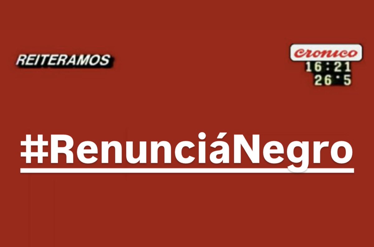 El Bagual bolso tweet media