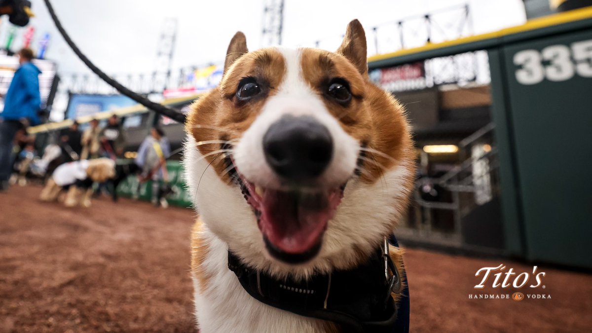 Chicago White Sox tweet media