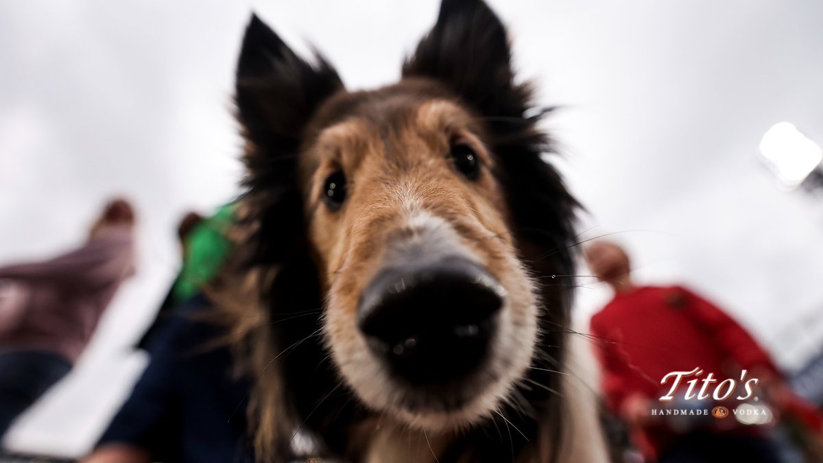 Chicago White Sox tweet media