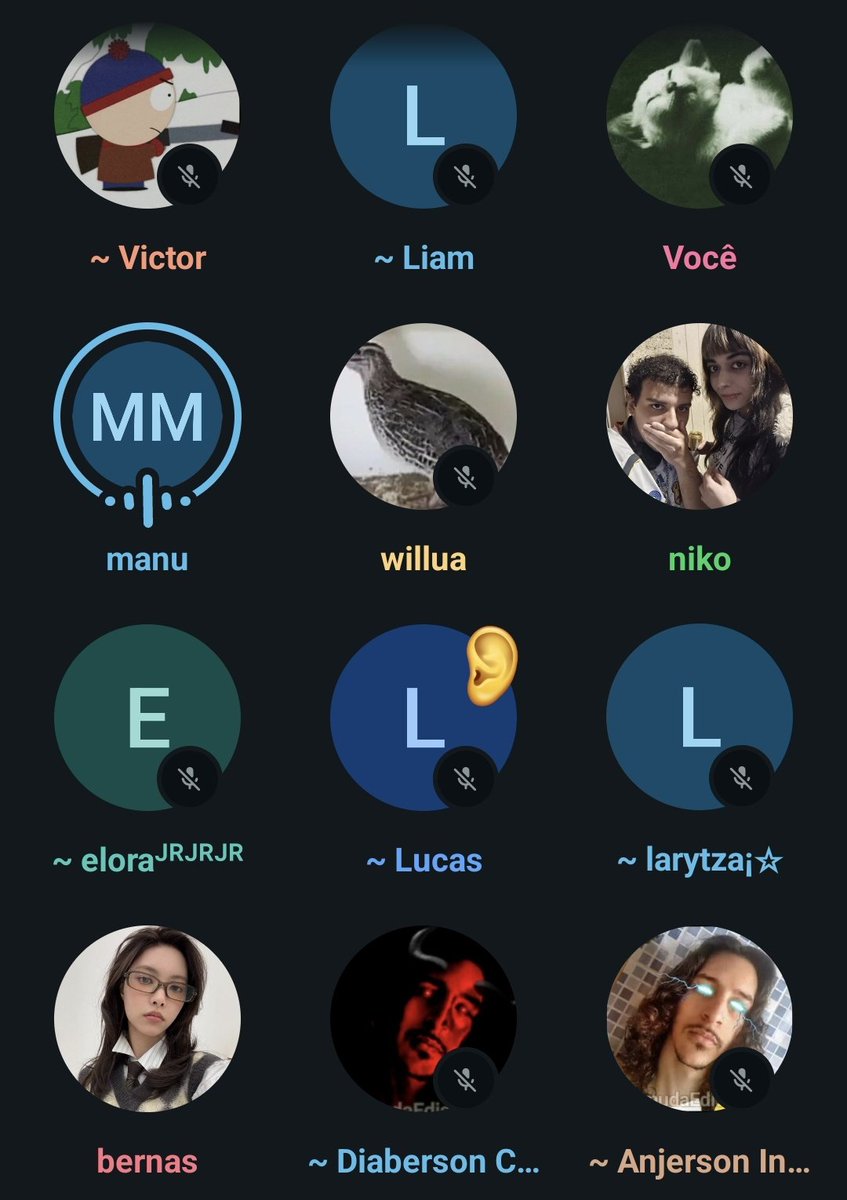 matheus 🐱 tweet media