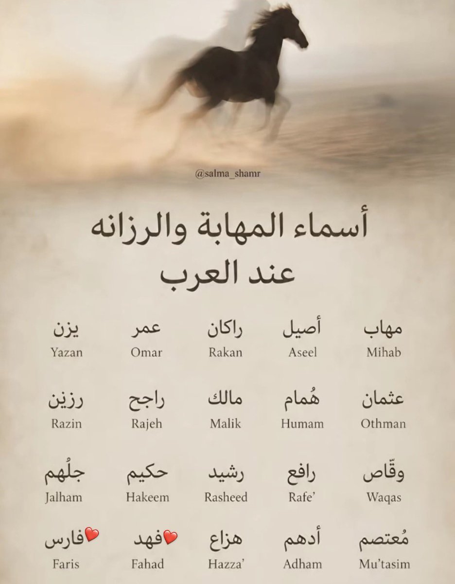 هند tweet media
