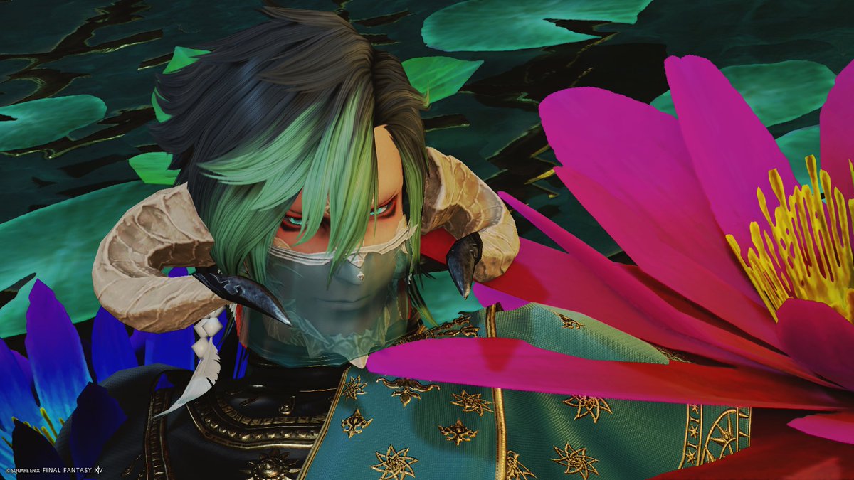 リル🐉 tweet media