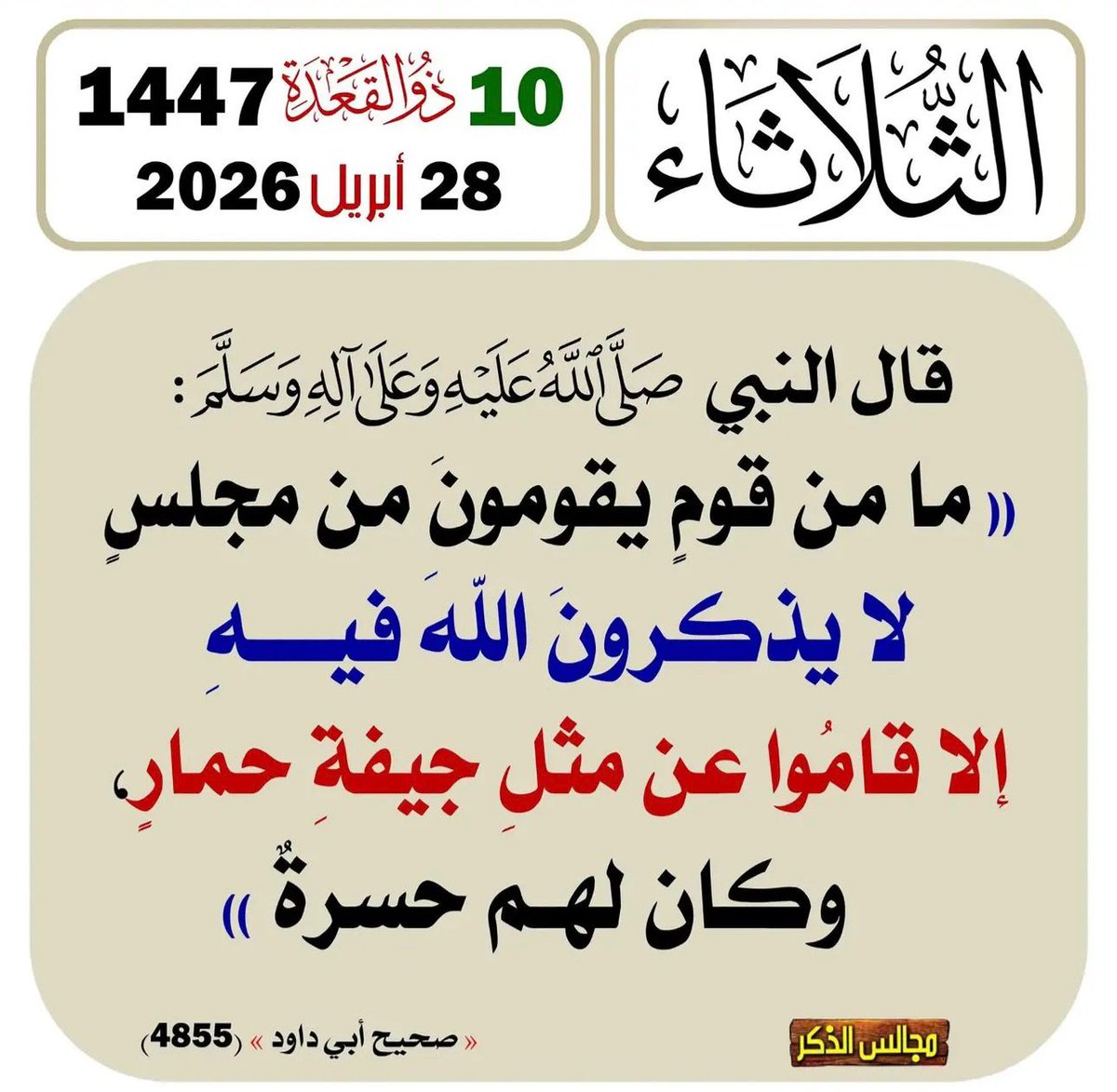 أبو خالد tweet media