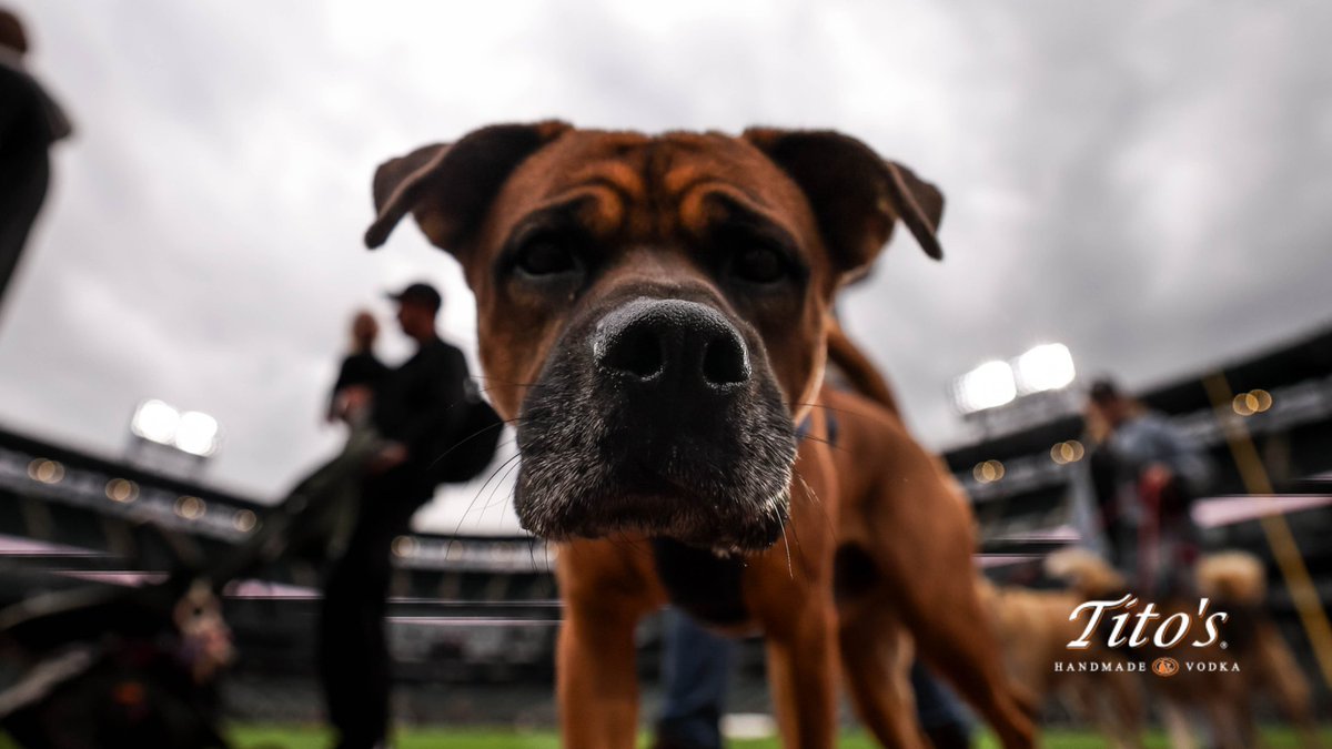 Chicago White Sox tweet media