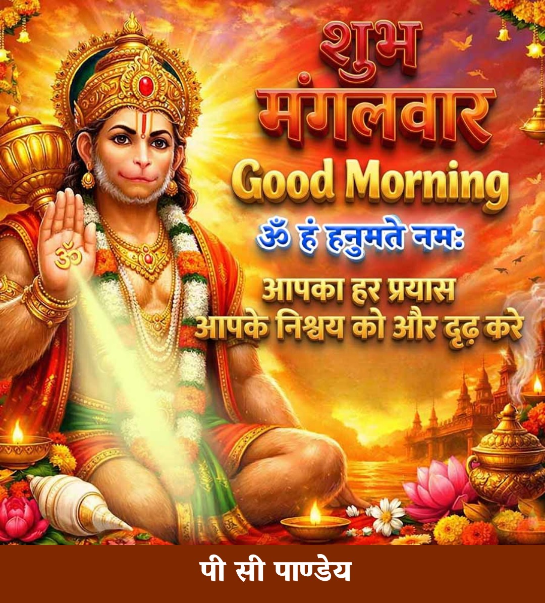 TAHALKA tweet media
