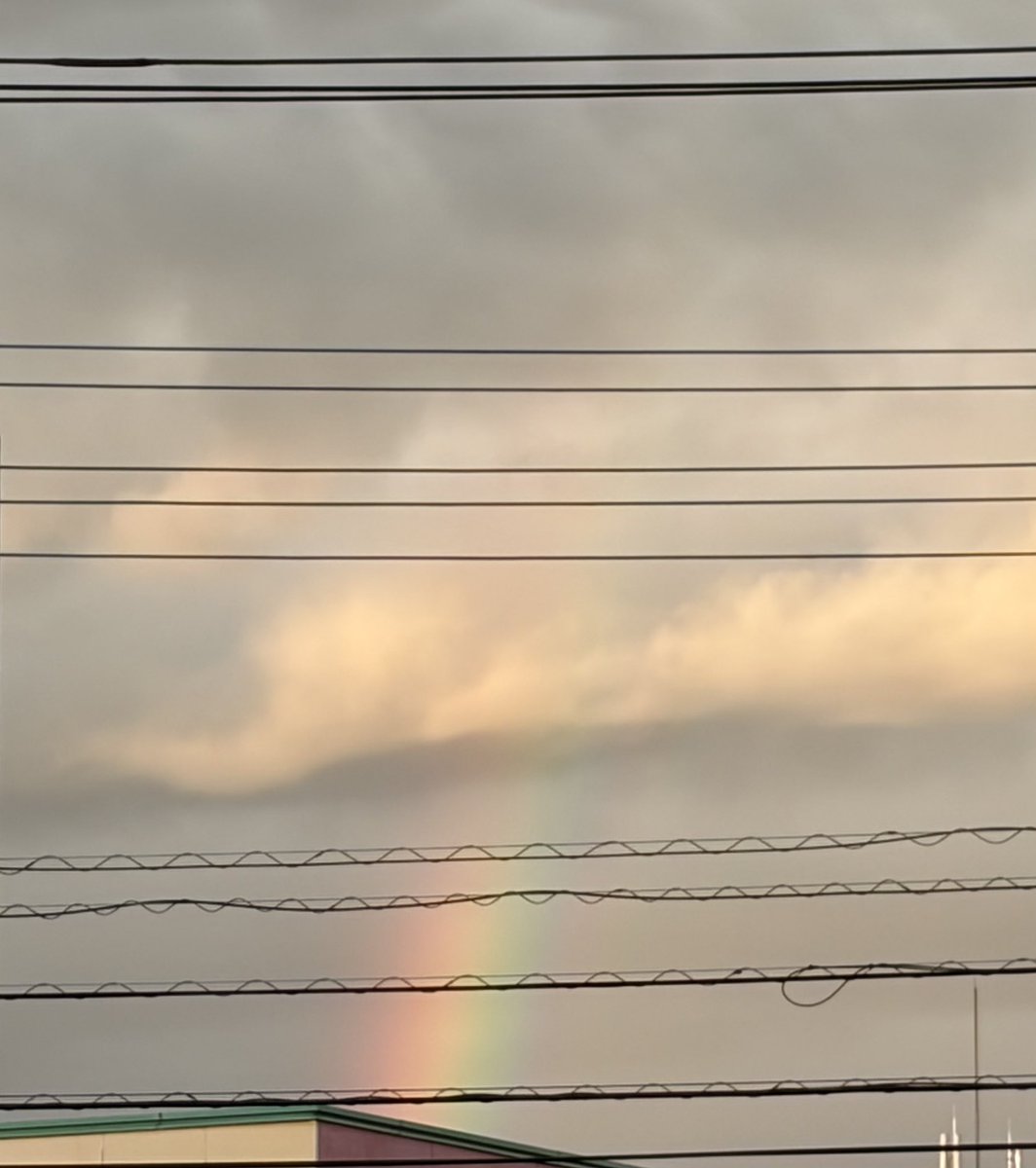 昨日の夕暮れ時に出た虹綺麗だったな🌈✨

この虹渡っていったらエルバフいけそうやな☺️