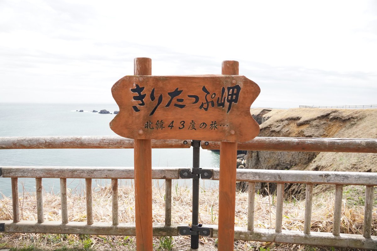 ぐっさん tweet media