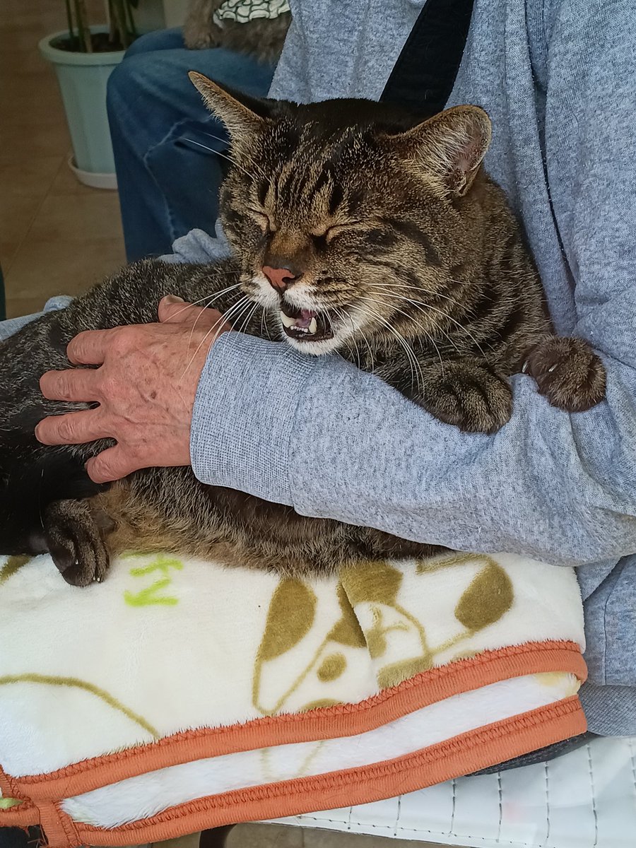 crackstar tweet media