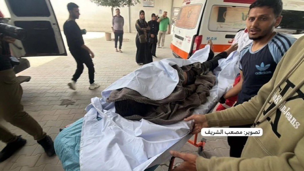 Drop Site tweet media